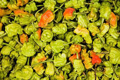 《龙腾世纪：影障守护者》22分钟演示 重点展示战斗